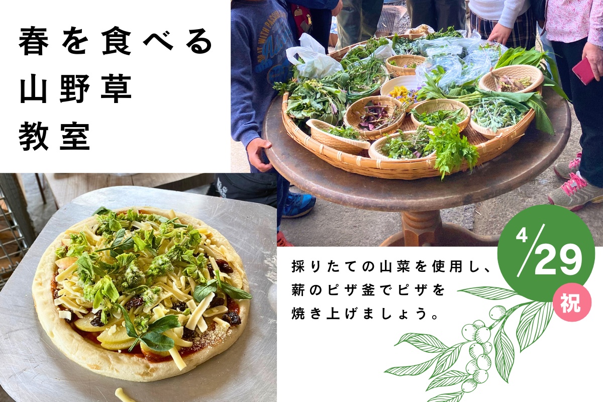 春を食べる山野草教室